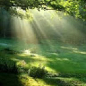 Meet your Posher, Nishar fatema